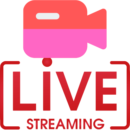 Gay Live Cam X